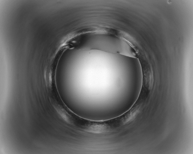 X0000087520350200704271144