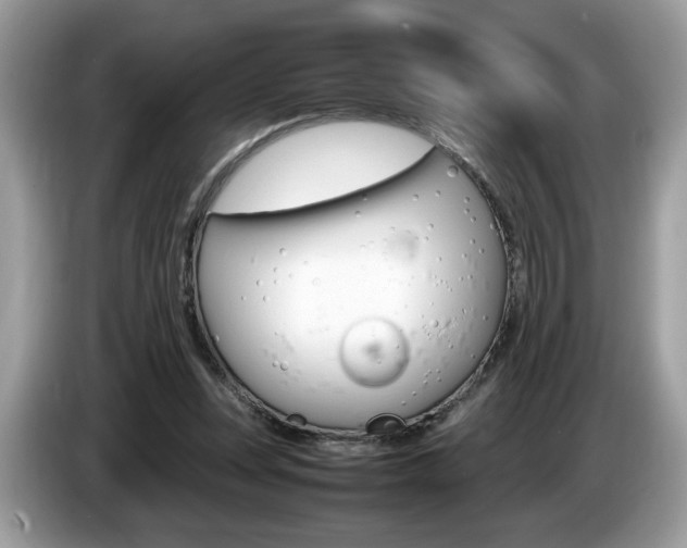 X0000087520351200704271144