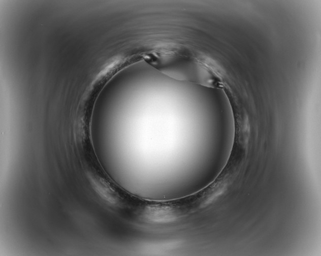 X0000087520354200704271144