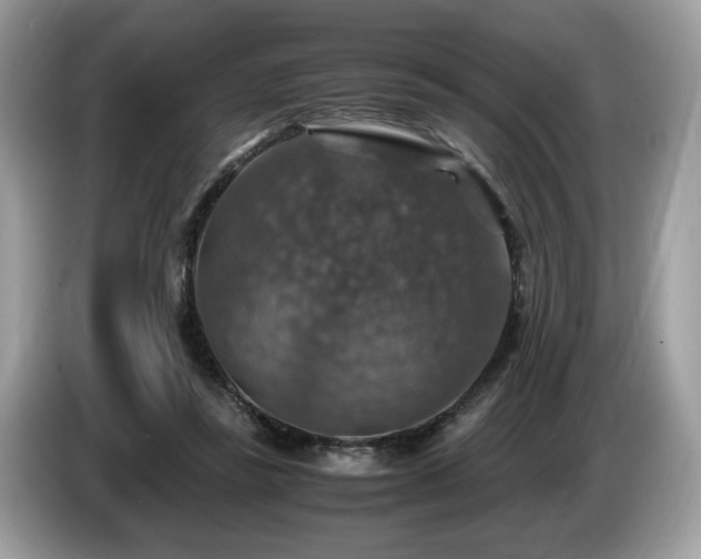 X0000087520355200704271144