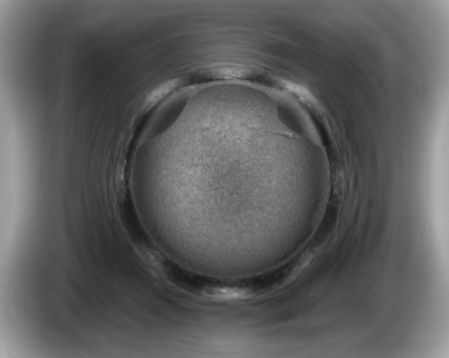 X0000087520360200704271144