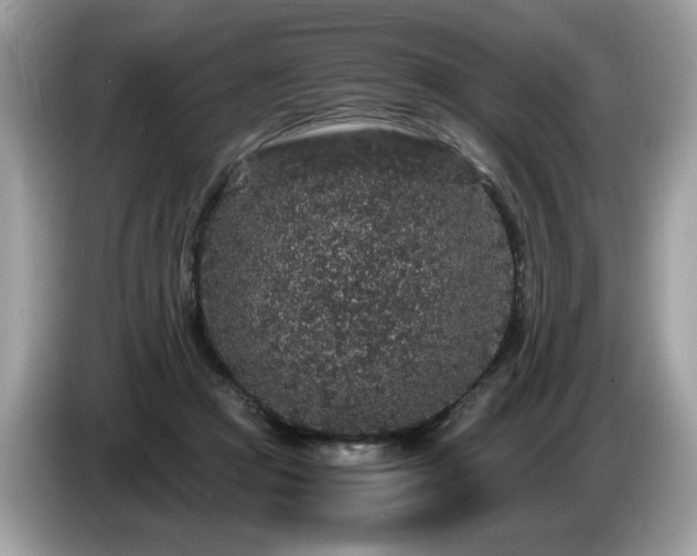 X0000087520361200704271144