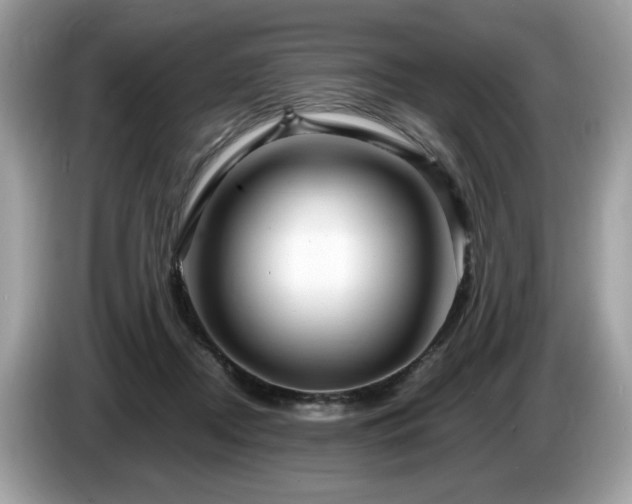 X0000087520362200704271144