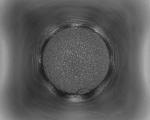 X0000087520363200704271144