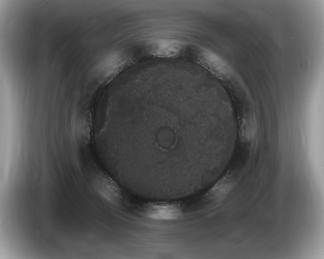 X0000087520370200704271144