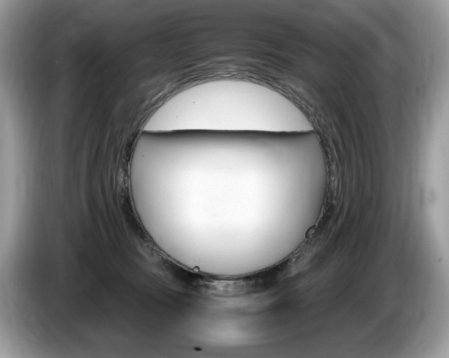X0000087520371200704271144