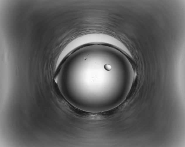 X0000087520376200704271144