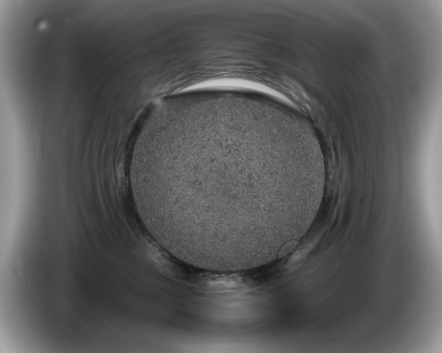 X0000087520377200704271145