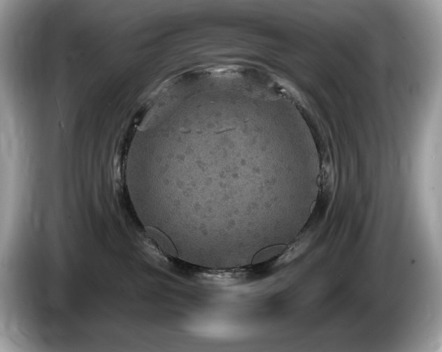 X0000087520381200704271145