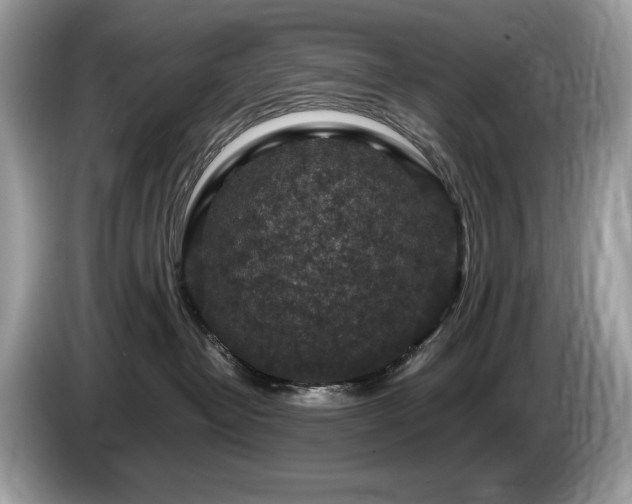 X0000087520382200704271145