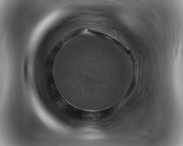 X0000087520383200704271145