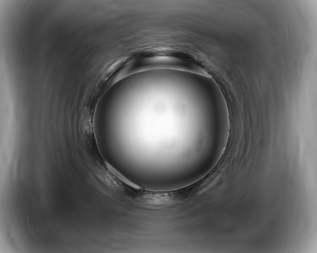 X0000087520384200704271145