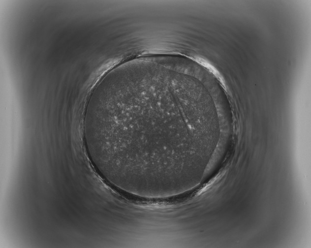 X0000087520385200704271144