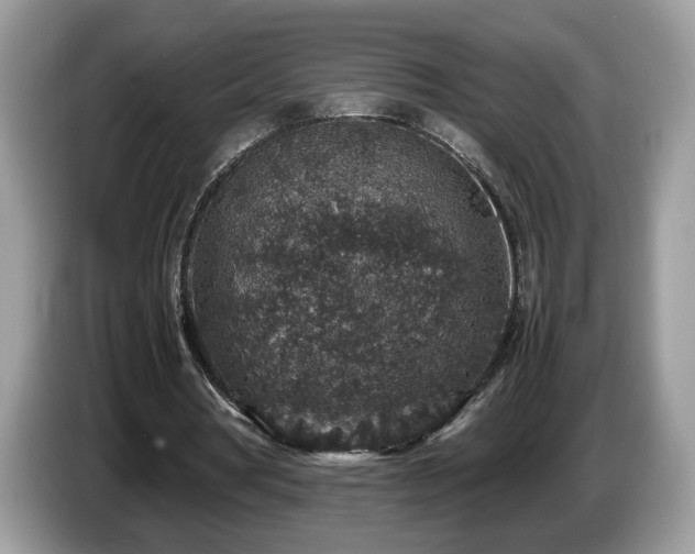 X0000087520386200704271144