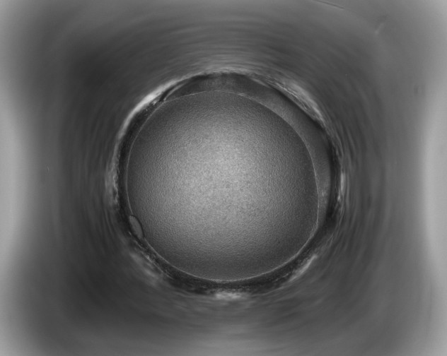 X0000087520388200704271144