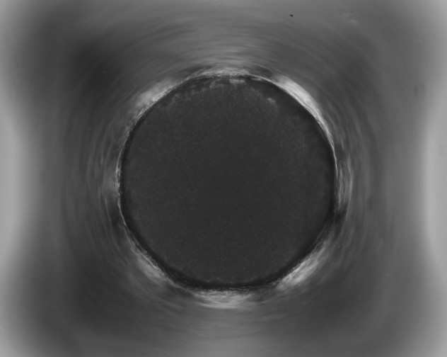 X0000087520389200704271144