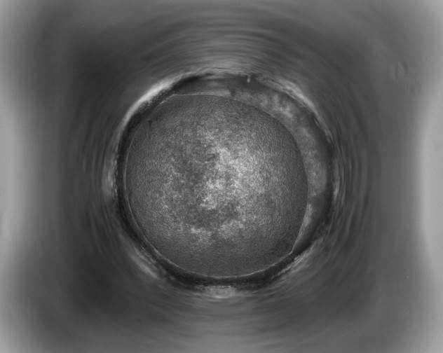 X0000087520392200704271144