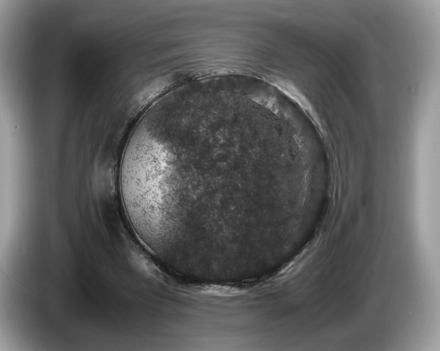 X0000087520393200704271144