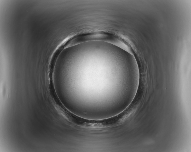 X0000087520395200704271144