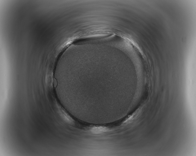 X0000087520397200704271144