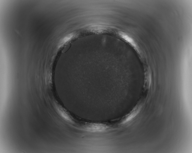 X0000087520399200704271144