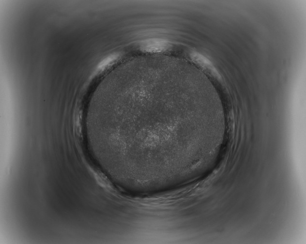 X0000087520400200704271144