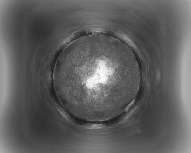 X0000087520401200704271144