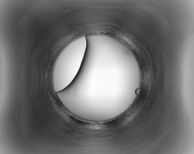 X0000087520402200704271144