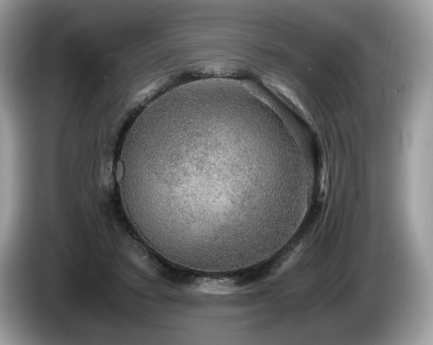 X0000087520403200704271144