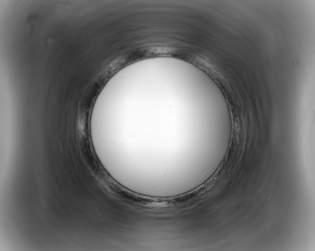 X0000087520406200704271144