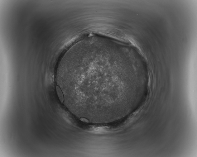 X0000087520407200704271144