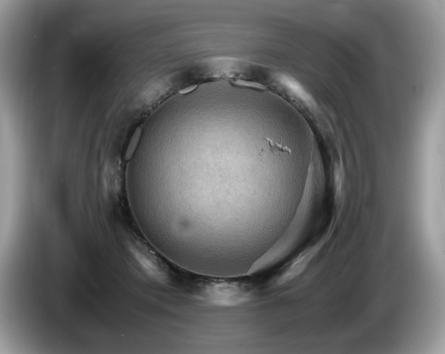 X0000087520413200704271144