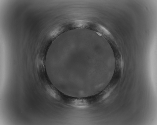 X0000087520415200704271144