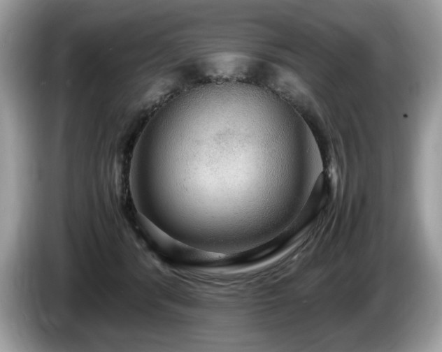 X0000087520416200704271144