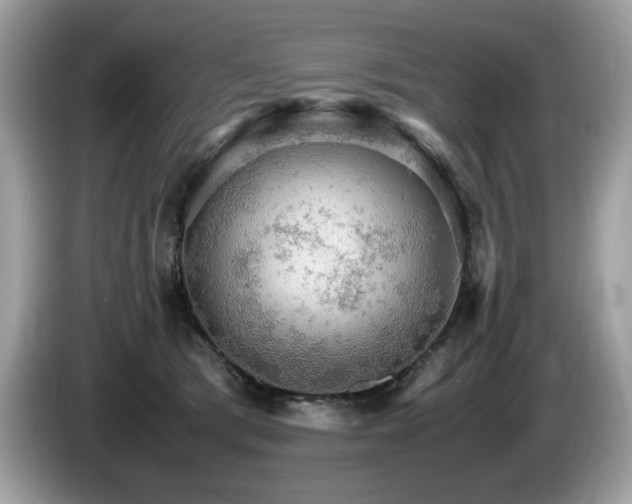 X0000087520417200704271144