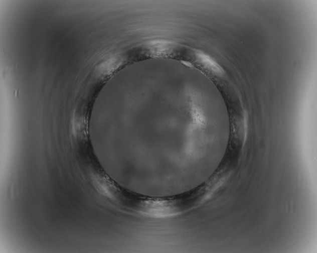 X0000087520419200704271144