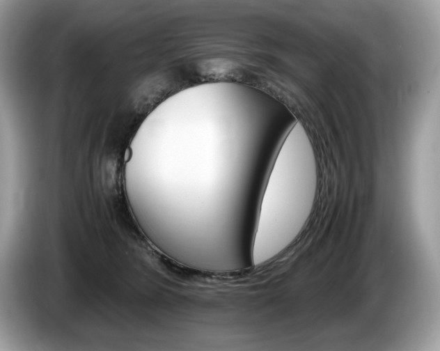X0000087520420200704271144