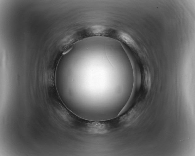X0000087520421200704271144