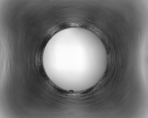 X0000087520422200704271144