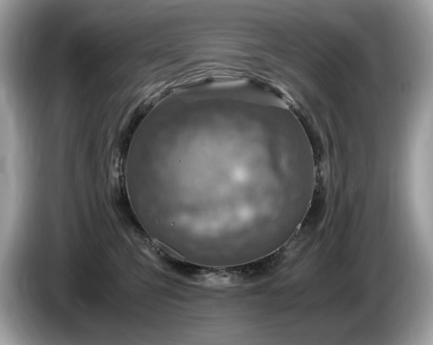 X0000087520423200704271144
