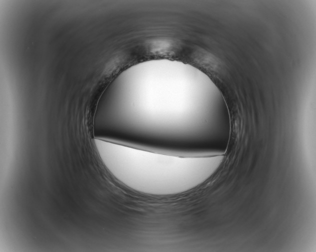 X0000087520424200704271144