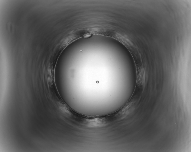 X0000087520430200704271144