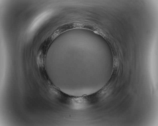 X0000087520431200704271144