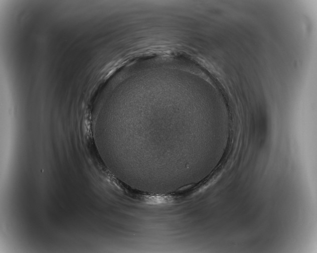 X0000087520432200704271143