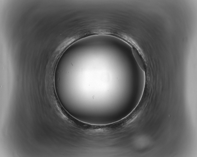 X0000087520433200704271143
