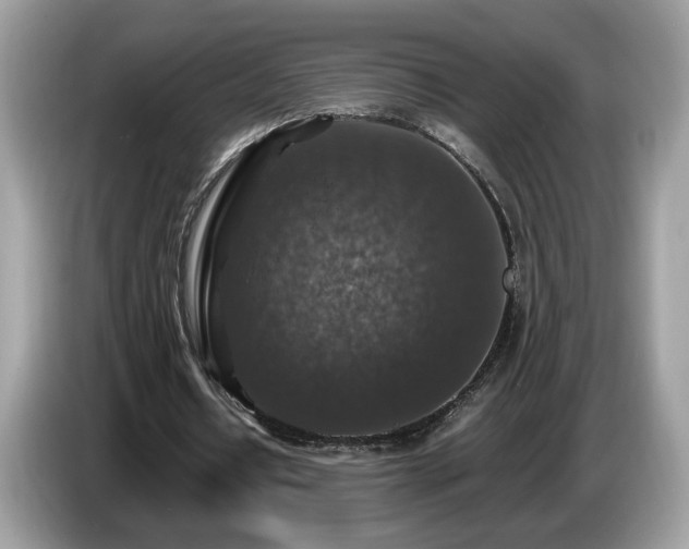 X0000087520434200704271143