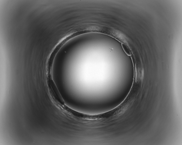 X0000087520435200704271143