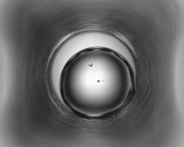 X0000087520436200704271143