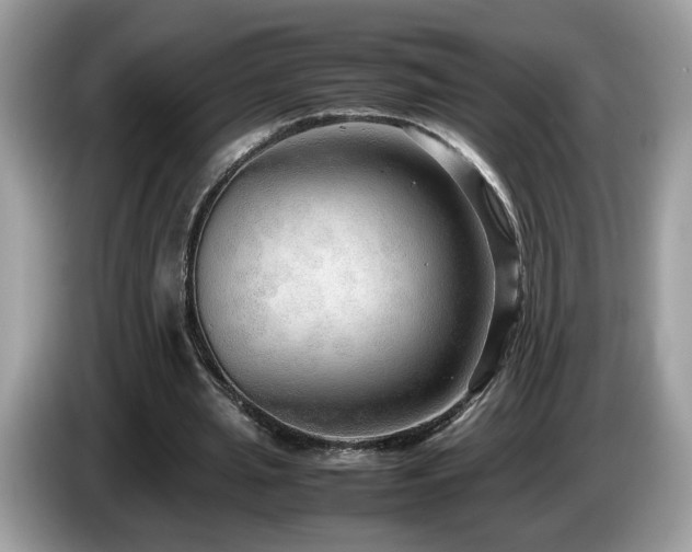 X0000087520437200704271143