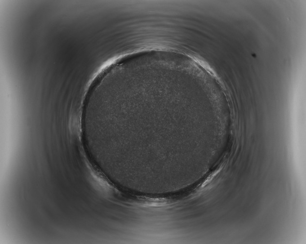 X0000087520438200704271143